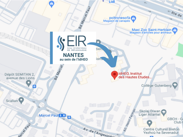 Formation reflexologie Nantes