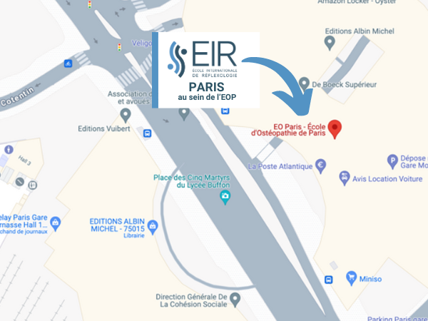 Formation réflexologie EIR Paris Formation reflexologie Paris